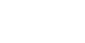 Dusseldorp MINI Logo